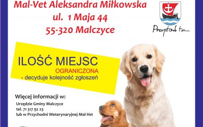 Bezpłatna sterylizacja zwierząt mieszkańców sołectwa Malczyce