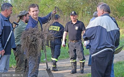 W Malczycach zasadzili kilkadziesiąt drzewek