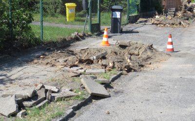 Ul. Mazurowicka w Malczycach z nowym chodnikiem i nasadzeniami