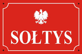 Ponowne wybory w Sołectwie Dębice