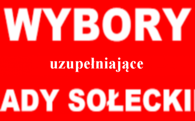 Wybory uzupełniające do Rady Sołeckiej Sołectwa Dębice