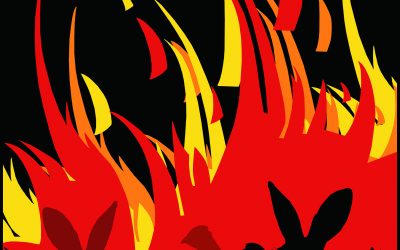 Zabezpiecz gospodarstwo przed suszą