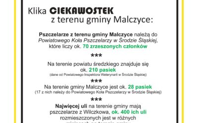 20 maja – Międzynarodowy Dzień Pszczoły