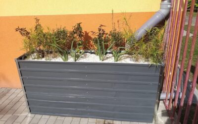 Ogród deszczowy dla Eko przedszkolaków