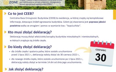 Przypominamy! Dziś ostatni dzień na złożenie deklaracji CEEB!