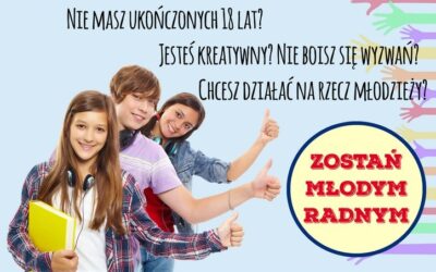WYBORY DO MŁODZIEŻOWEJ RADY GMINY MALCZYCE