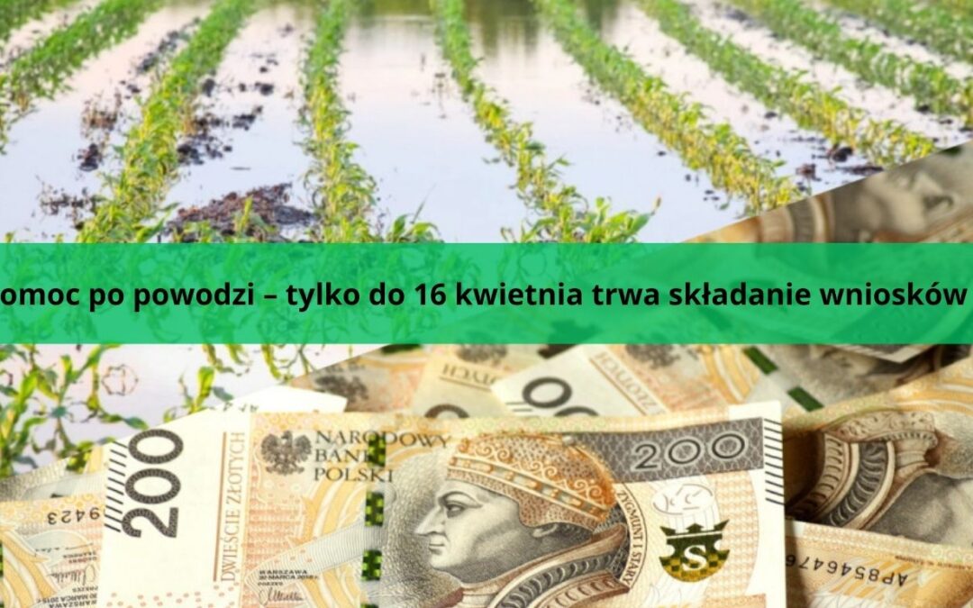 Pomoc po powodzi – tylko do 16 kwietnia trwa składanie wniosków