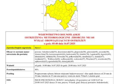 DSW_STAN_20250716034147346-obrazy-0
