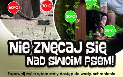 Pies czuje tak jak Ty!