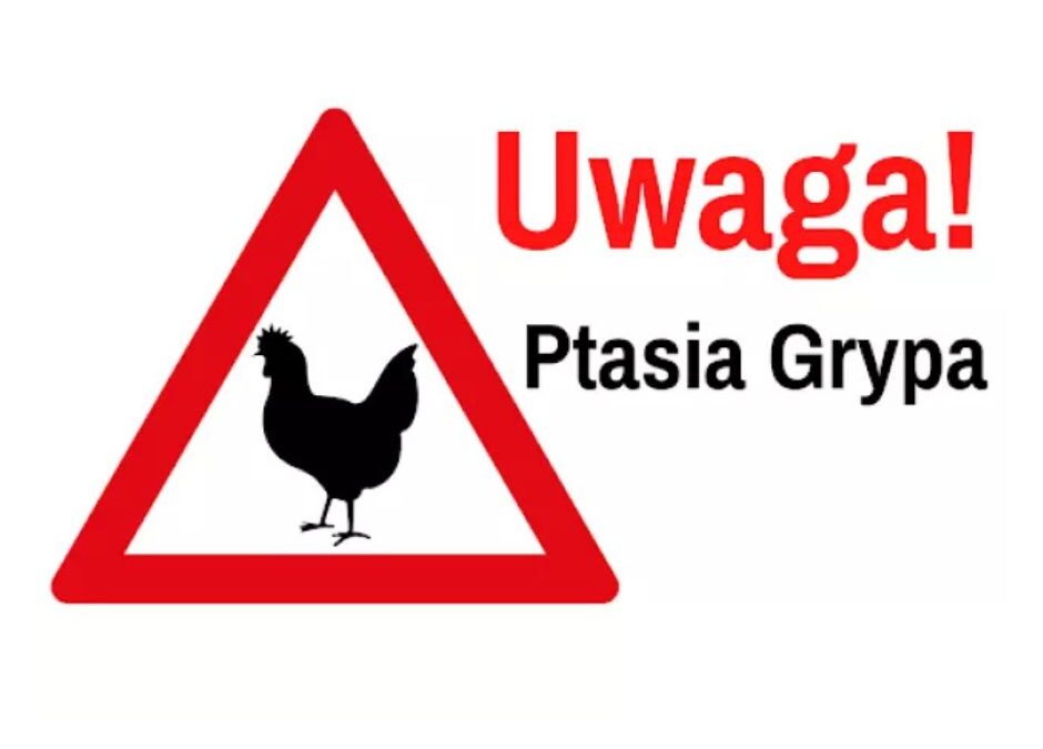 Powiatowy Lekarz Weterynarii w Środzie Śląskiej informuje, że na terenie Polski pojawia się w ostatnim czasie coraz więcej ognisk wysoce zjadliwej grypy ptaków (HPAI) oraz rzekomego pomoru drobiu (ND)