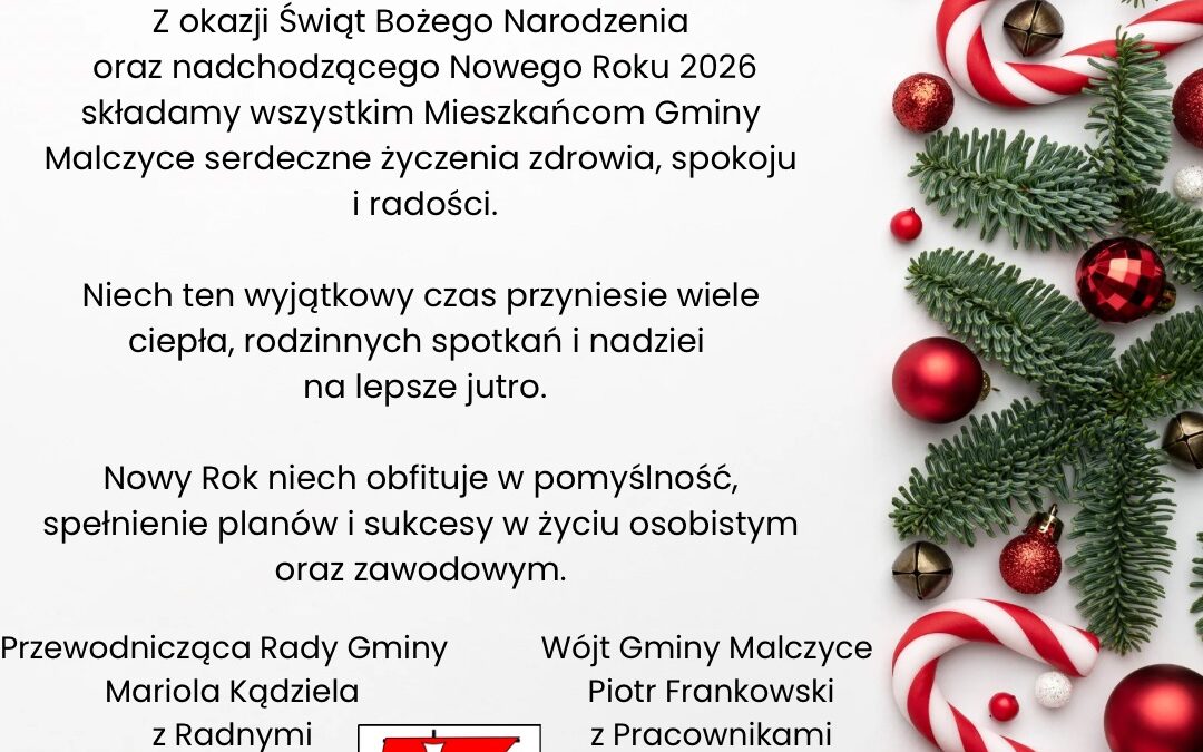Wesołych Świąt Bożego Narodzenia !!!