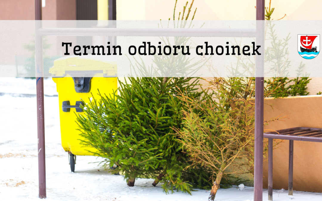 ODBIÓR POŚWIĄTECZNYCH CHOINEK NA TERENIE GMINY MALCZYCE