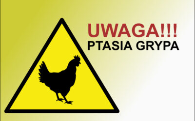 Informacja w sprawie zwalczania wysoce zjadliwej grypy ptaków (HPAI) na terenie powiatów legnickiego, lubińskiego, średzkiego oraz wołowskiego.