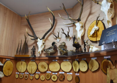 47c892ce-eff5-4294-a5c3-994af43bb1ba